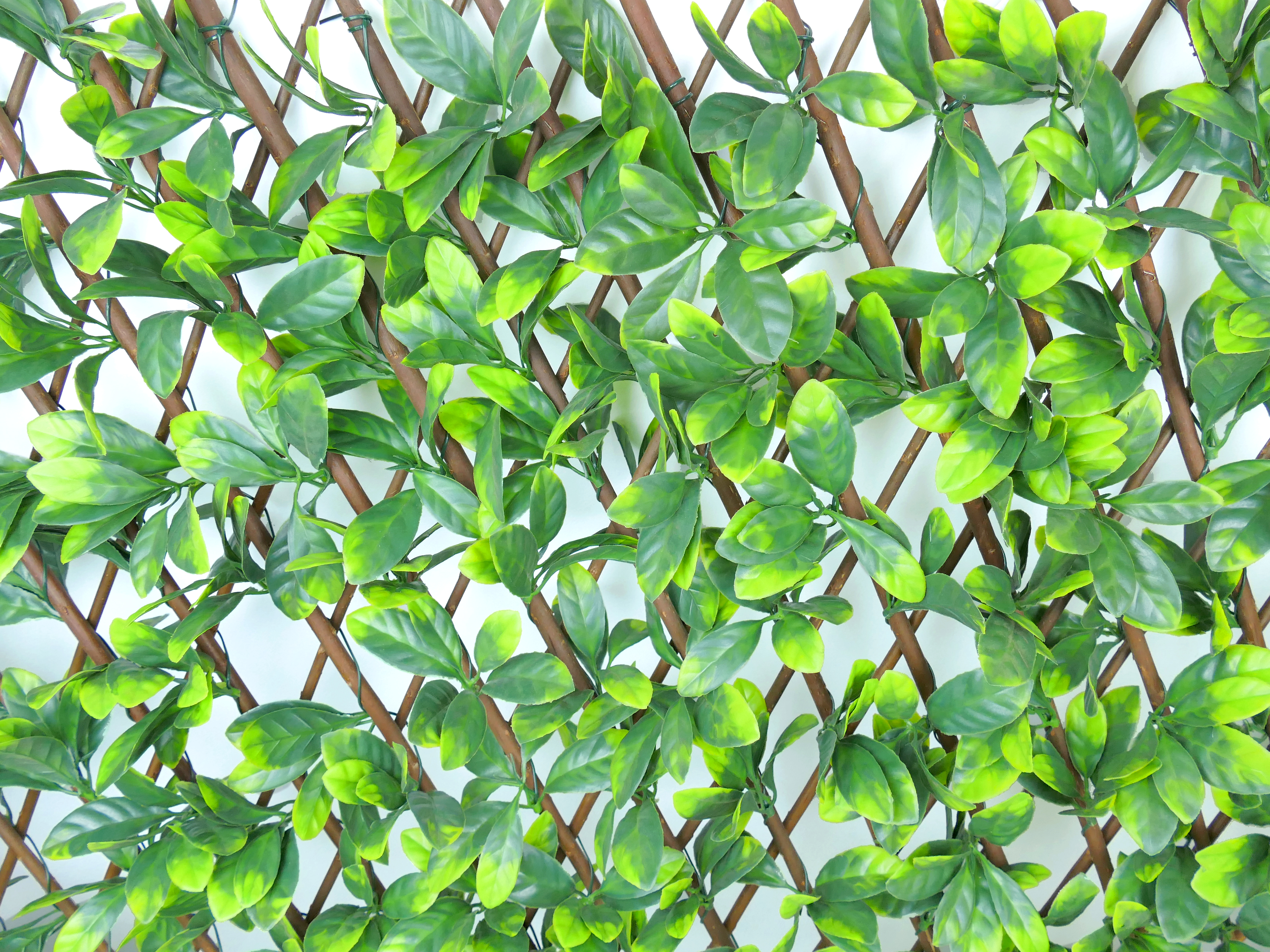 natural willow trellis with rose leaf