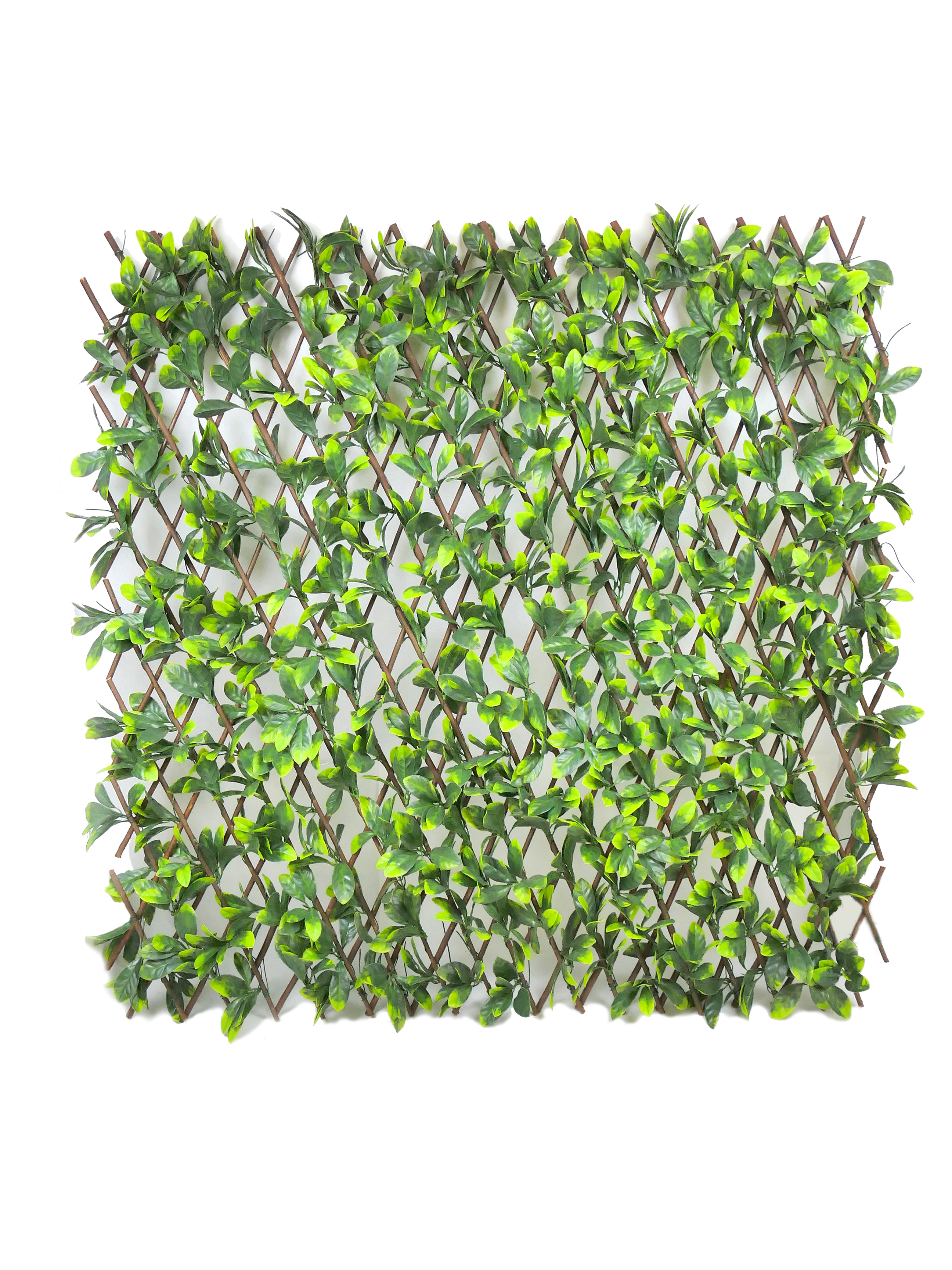 natural willow trellis