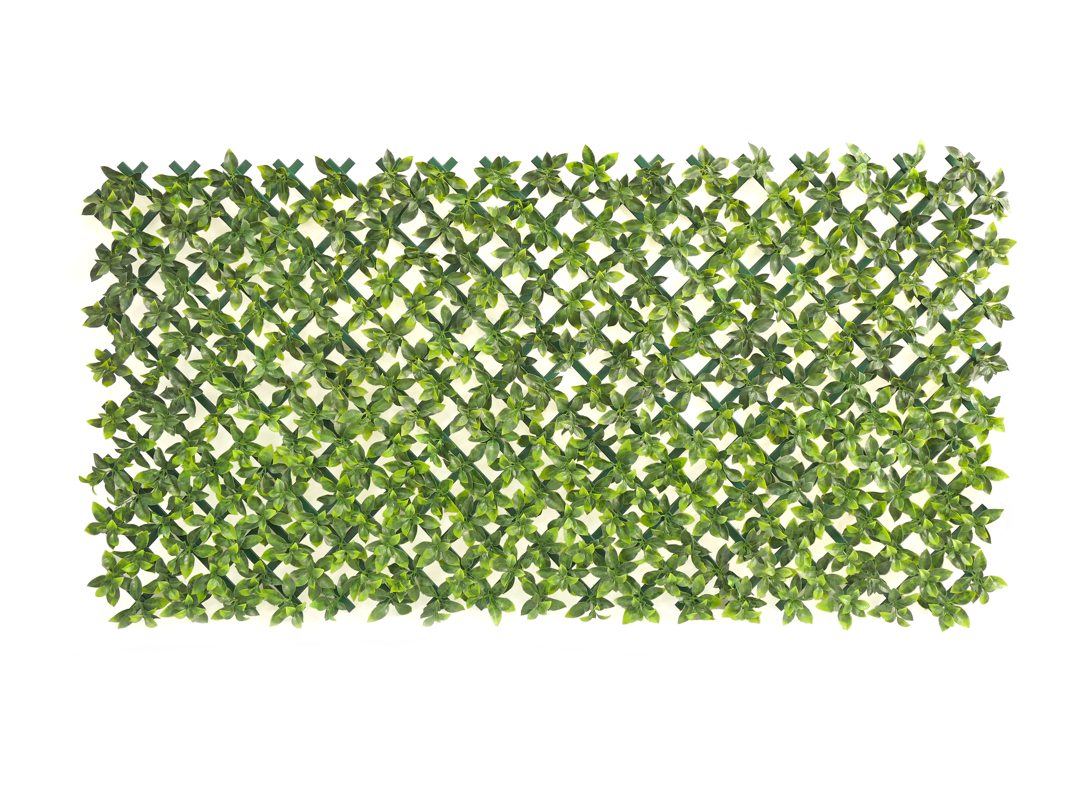 PVC Trellis with laurel leaf