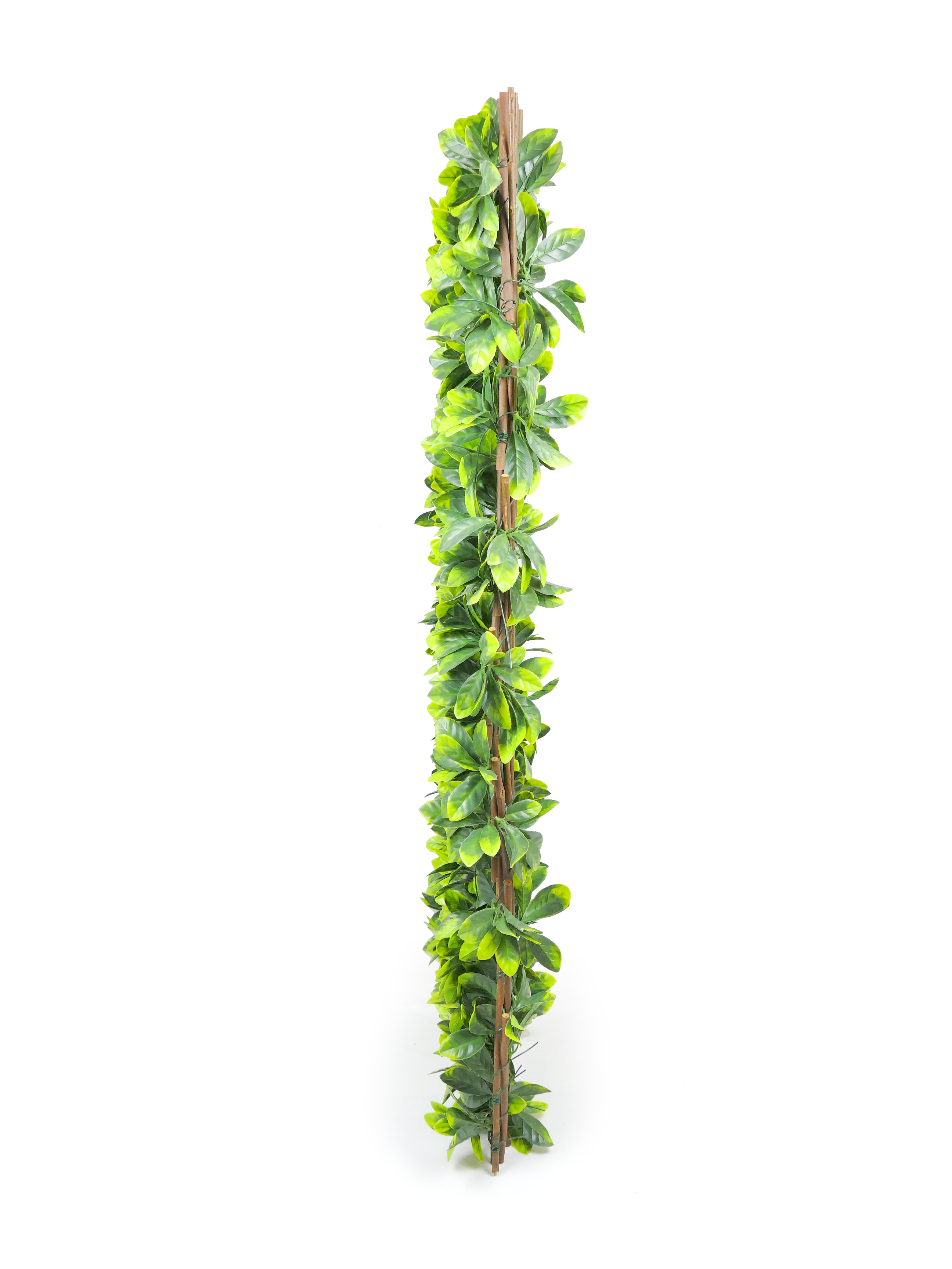 natural willow trellis with rose leaf