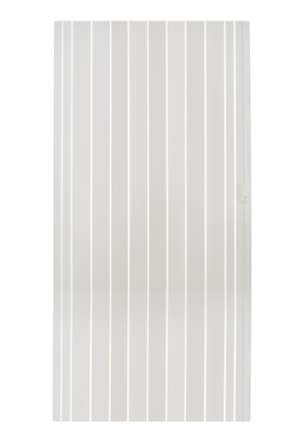 Folding Door